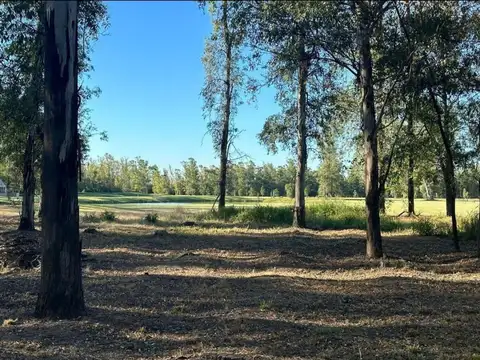 Excelente lote interno
