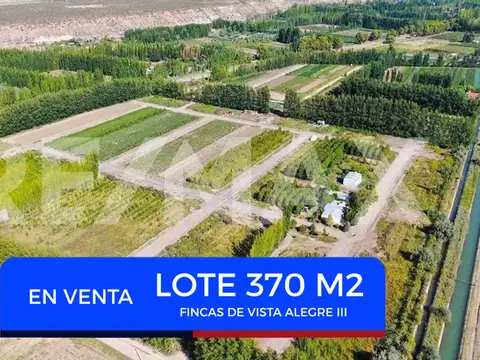 EN VENTA LOTE FINCAS DE VISTA ALEGRE