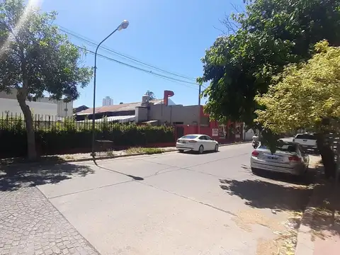 Belgrano 800