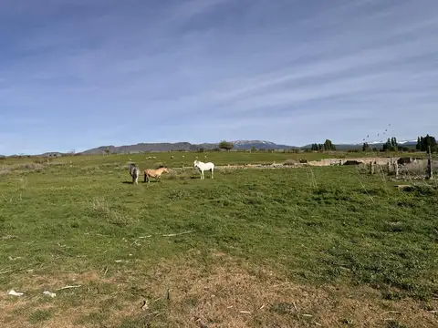 Terreno en Venta en Trevelin, USD 60.000