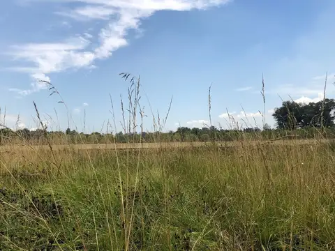 Terreno en Venta de 998,0 m2