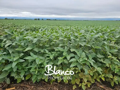 Terreno Campo  en Venta en Buenos Aires, Argentina