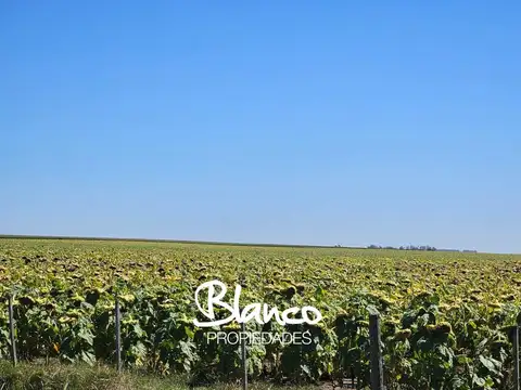 Terreno Campo  en Venta en Buenos Aires, Argentina