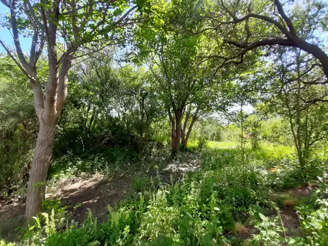 Terreno en Venta de 565,0 m2