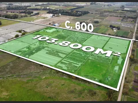 calle 600 y 141 0