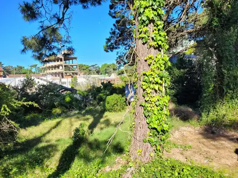Terreno en Venta 31  mts Fondo