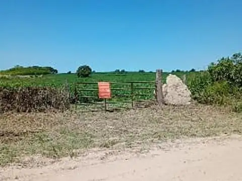 Campo en Venta Agrícola