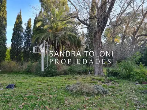 Terreno en Venta 100  mts Fondo
