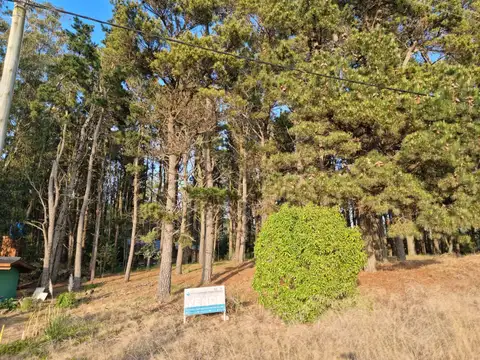 Terreno en Venta 20  mts Frente