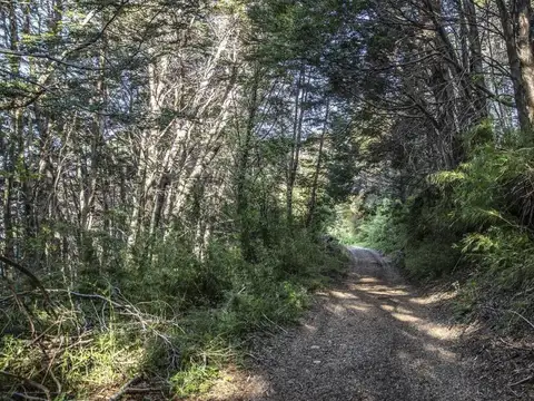 VENTA CAMPO LAGO HERMOSO.  ( RUTA 7 LAGOS) PATAGONIA