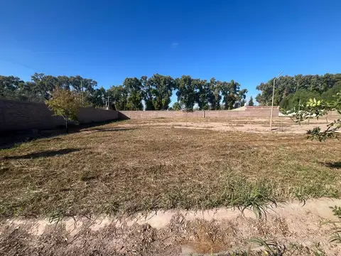 Dirección Carril Mathus Hoyos S/N, , Guaymallén, Mendoza