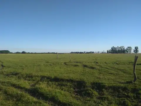 CAMPO DE 116 HECTAREAS Y MEDIA BAJO DE PRECIO 