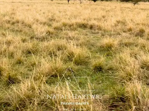 Campo en Venta con Alambrado