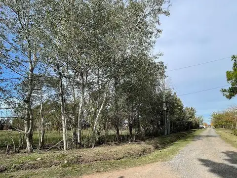 Terreno en Venta de 435,0 m2