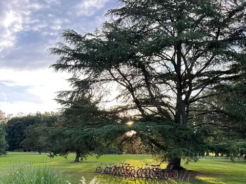 Lote a la venta en Chacras San Andrés, San Andrés de Giles