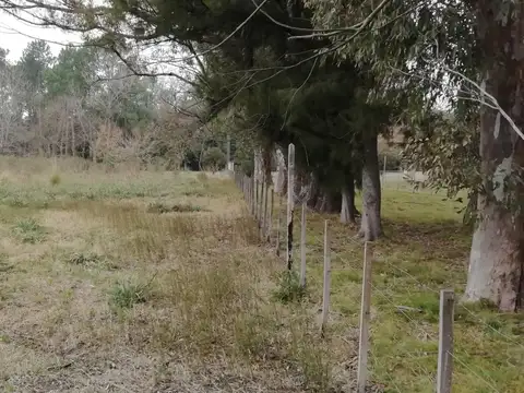 Diagonal Los Araucanos 1157