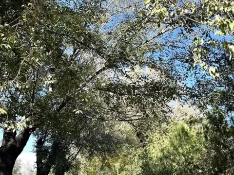 Terreno en Venta de 750,0 m2