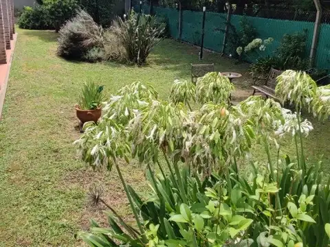 QUINTA EN CHASCOMUS VENTA O PERMUTA POR DPTO EN CABA