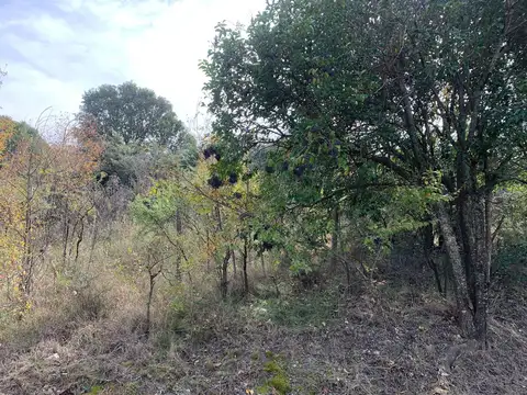 Terreno en Venta en Casa Grande, USD 15.000