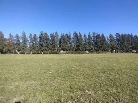 Terreno en Venta 35  mts Fondo