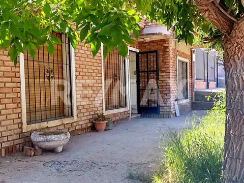 Santa Cruz 100