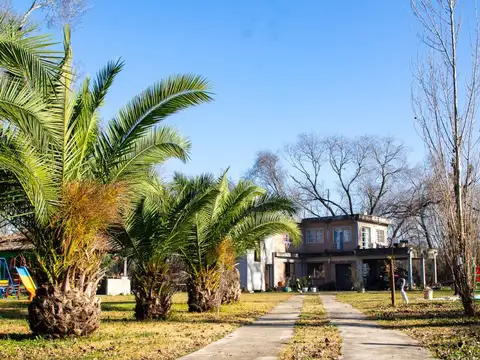 San Ignacio 600