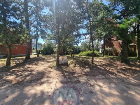 Avenida 4 4200