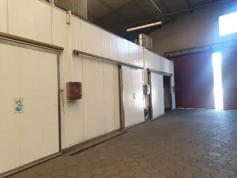 Galpon en Venta 40 años
