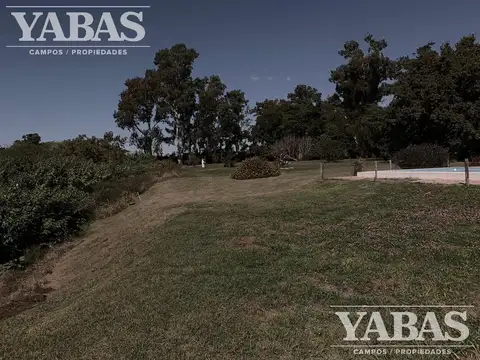 VENTA - CAMPO - 3 HECTAREAS - San Pedro (Bs.As) - VUELTA DE OBLIGADO