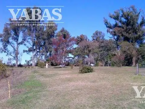 VENTA - CAMPO - 3 HECTAREAS - San Pedro (Bs.As) - VUELTA DE OBLIGADO