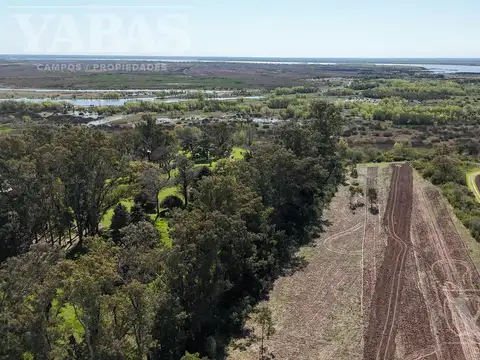VENTA - CAMPO - 3 HECTAREAS - San Pedro (Bs.As) - VUELTA DE OBLIGADO