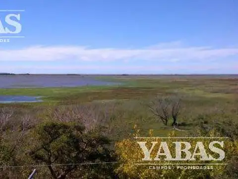 Campo - Vuelta De Obligado