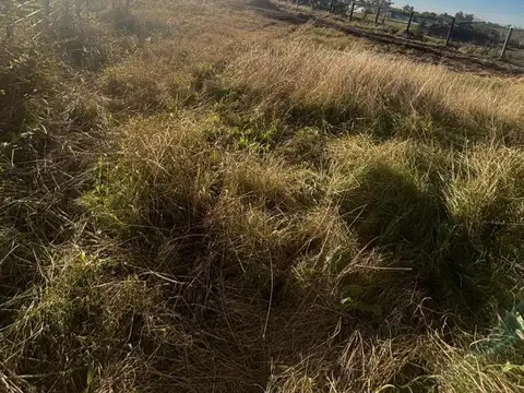 TERRENO EN VENTA, GOWLAND