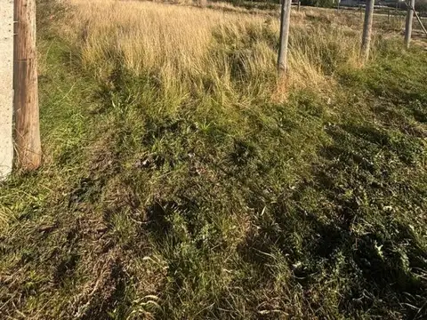 CALLE DIAGONAL NORTE