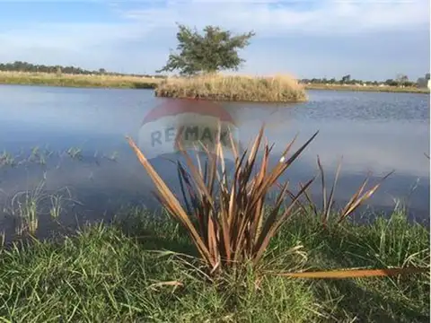 NESTOR KIRCHNER 11300 Ex. Ruta Nacional 205