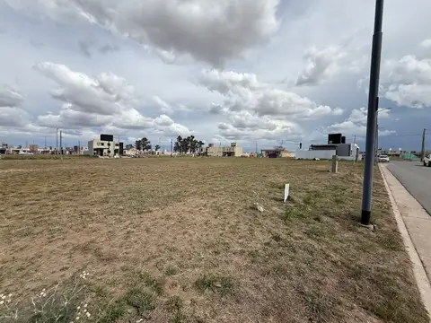 Cuestas de Manantiales, Manantiales II 100