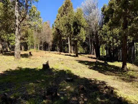 Terrenos y Lotes en Venta en San Carlos de Bariloche [Cod: ]