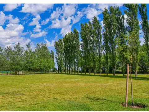 Terreno en Haras de Funes (VER PRECIOS EN DESCRIPCIÓN)