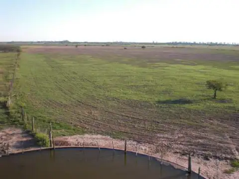 Zona Capivara Ruta provincial  4