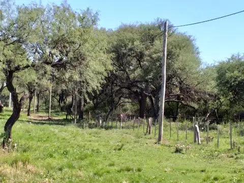 Lotes de 1400 m2 posible FINANCIACIÓN 