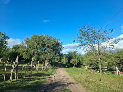 Terreno en Venta de 1047,0 m2