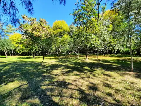 Terreno en  la Isla Libertad con 20 metros de costa propia.