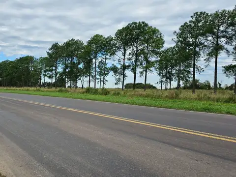 Ruta Provincial 31