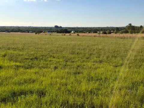 Terreno en Venta en Colonia Carolina, USD 7.800