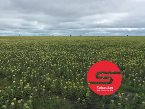 Campo venta en Santa Lucia Norte Santa Fe Distrito Gato Colorado