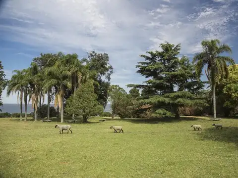 Terreno en Venta en Montevideo, USD 199.000