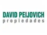 PEIJOVICH DAVID PROPIEDADES