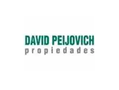 PEIJOVICH DAVID PROPIEDADES