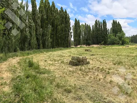 zona rural picun leufu -39.521059, -69.313200