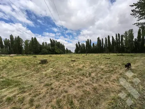 zona rural picun leufu -39.521059, -69.313200